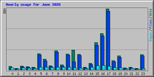 hourly_usage_202606.png